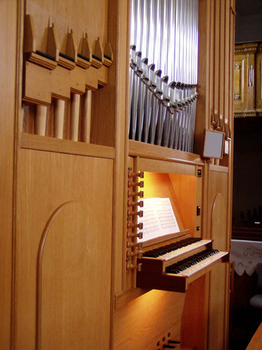 BKM Orgonaüzem